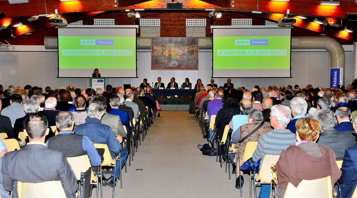 Assemblea (8)