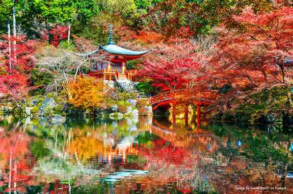 Daigoji Temple Autumn Kyoto Japan Autumn Seasons