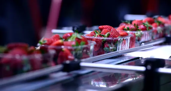 Garanzie pubbliche in agricoltura